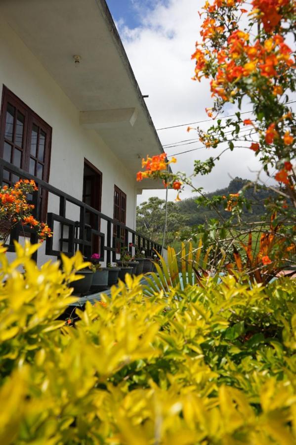 The Train View Bed and Breakfast Nuwara Eliya Exterior foto