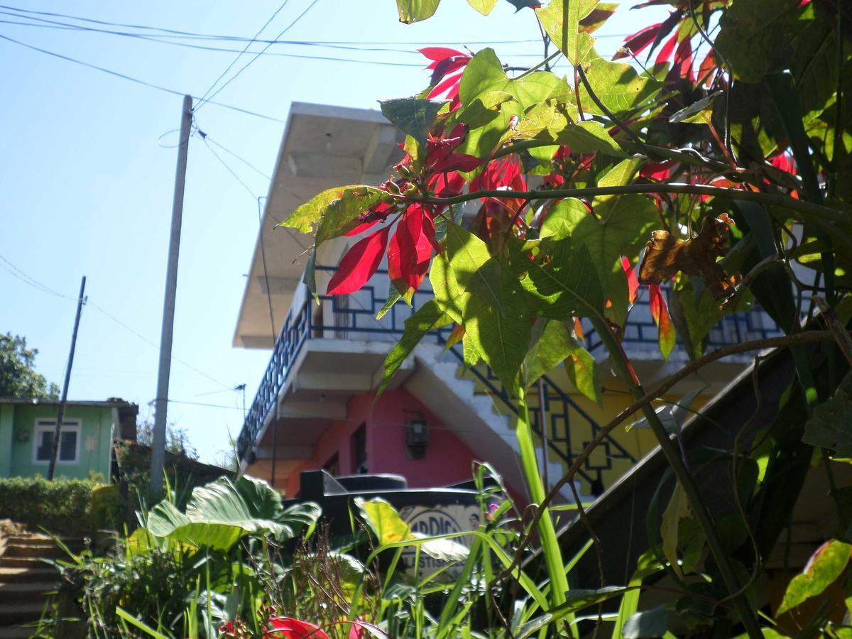 The Train View Bed and Breakfast Nuwara Eliya Exterior foto